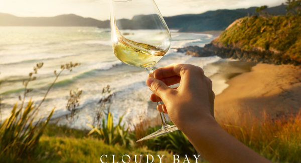 cloudy bay overview